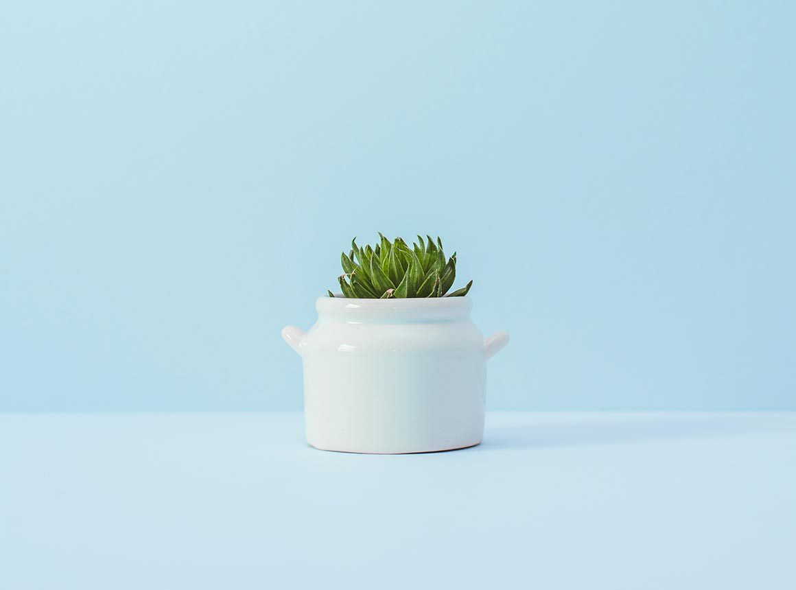 portfolio4 portfolio